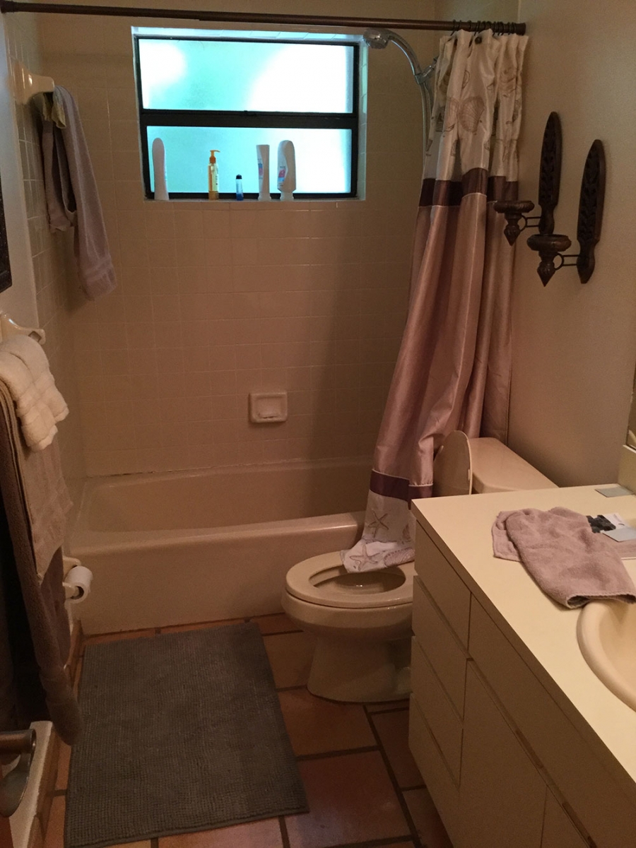 Guest-bath-remodel-before-pic